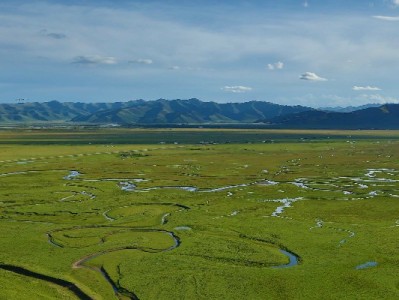 羊小咩提现额度消失？四大原因+解决攻略全解析