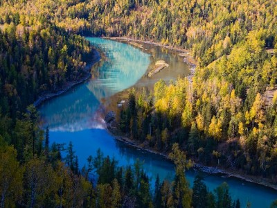抖音月付如何带火苹果表带？商家销量涨40%的秘密