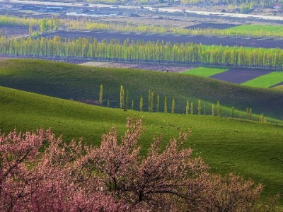 羊小咩提交订单遇惊喜！新用户叠加"安出掌柜"优惠省近百元