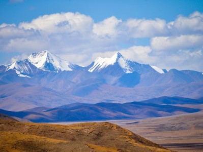羊小咩2020年6月上线！四年成长史与同期平台“出财小神”的差异化之路