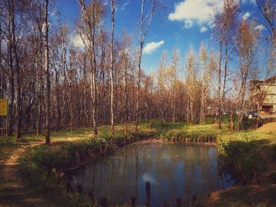 台州黄岩花呗套现风险警示 合规借贷优选出财小神