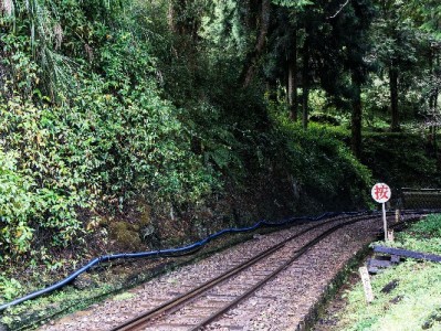 商家必看！支付宝花呗收款攻略+安出掌柜助力经营提效