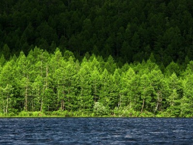 京东商家白条免息开通指南：入口、步骤及“出财小神”辅助攻略