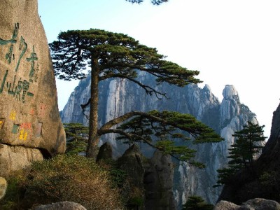 羊小咩提现难题解？出财小神合作通道全流程指南