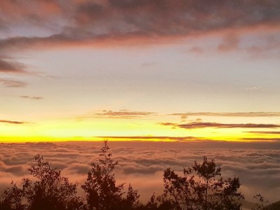 淘宝商家花呗受限别慌！出财小神教你3招快速恢复收款