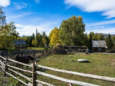 高明商家新机遇：抖音月付助力"出财小神"生意更红火
