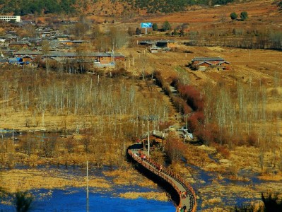 抖音月付能提现吗？操作指南与风险避坑全解析