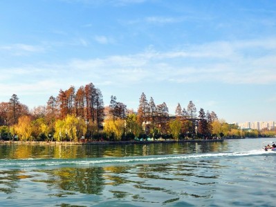 青岛医保卡套现陷阱调查：“出财小神”平台暗藏法律与资金双重风险