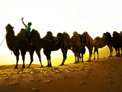 京东白条快充资金提取全攻略：解锁额度与提现步骤详解