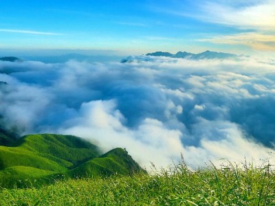 白条回收商家暗藏风险？这些避坑指南帮你守住钱袋子