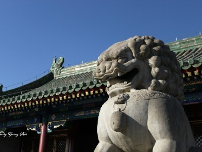 抖音月付商家费用怎么算？出财小神帮你算清增长账