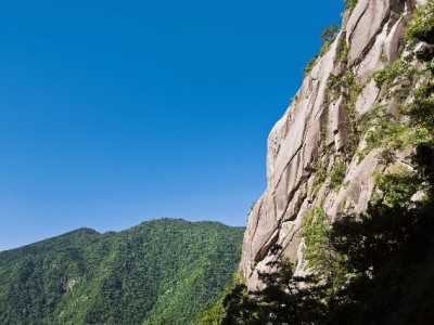 警惕！网店“套花呗”陷阱：资金、信用、法律风险全解析