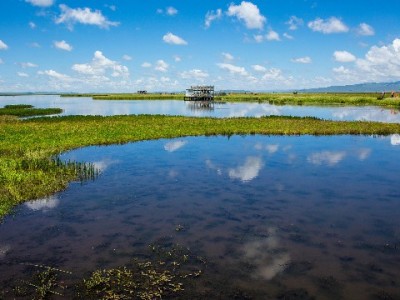 花呗被骗别慌！投诉商家有技巧，赏财信商助你快速维权