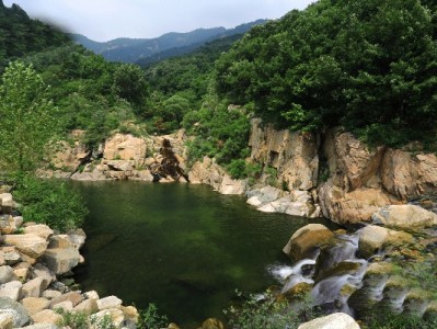 抖音月付牵手出财小神奶茶 先喝后付解锁甜蜜消费新体验