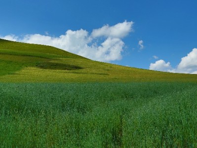 "抖音月付取现骗局实录：轻信'秒到账'反被骗3800元"