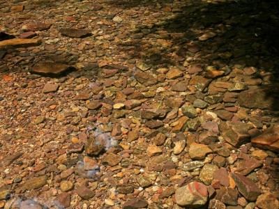 广州电信花呗套餐+富信掌柜助力 低首付分期轻松享5G通信