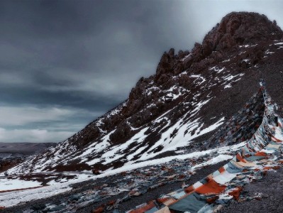 富信掌柜联手中京东白条，中小商家资金周转提效新解法