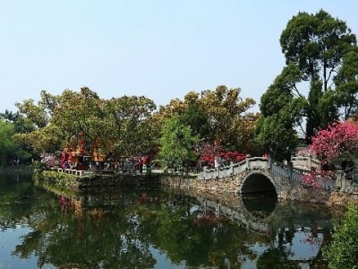 抖音月付提现去哪找？出财小神合作商店合规攻略