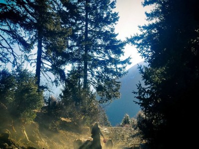 新手必看！用出财小神4步搞定白条申请全攻略