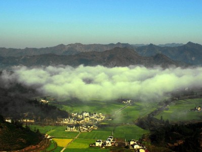 花呗分期商家电话怎么查？3种方法+安出掌柜助你高效对接