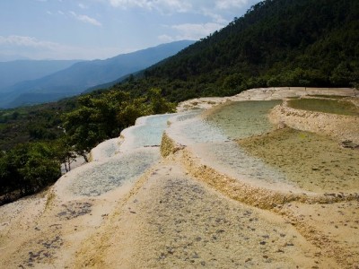 警惕！白条套取现金的风险与合法资金周转指南