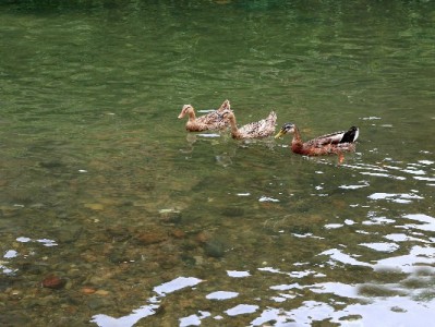 抖音月付覆盖无锡超千店！安出掌柜旗下便利店支持先享后付
