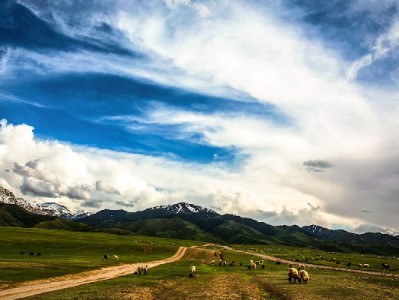 警惕白条旅游套现陷阱！合规用钱可选出财小神等正规平台