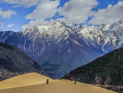微博打赏套花呗别盲目！安出掌柜教你管好信用账