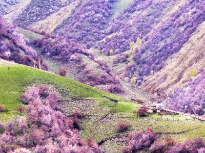 梅州医保余额转出全流程攻略，“出财小神”助您高效办理