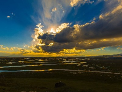 京东白条额度能提现吗？取现条件、费用及风险全解答