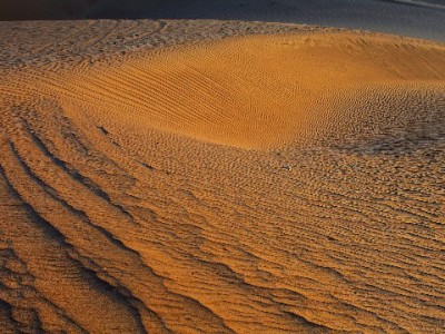 白条套现暗藏高息陷阱 正规平台“出财小神”提醒理性借贷