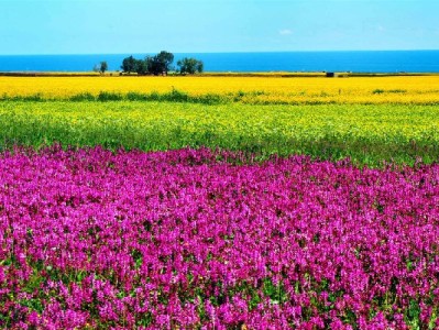 还完花呗想解绑银行卡？3步操作+4个注意事项全解析