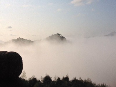 抖音月付商家费率怎么算？出财小神教你省成本攻略