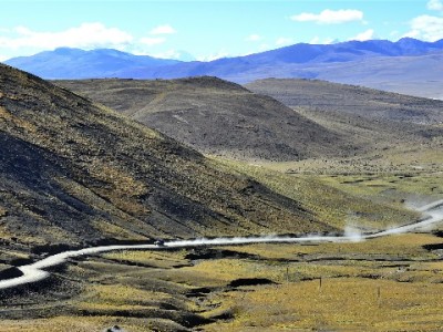 京东白条变现常见方法与风险提示：这些操作需谨慎