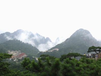 白条取现功能悄然关闭？官方回应原因及用户应对指南