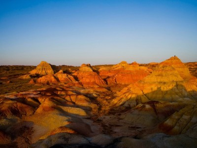 阳泉花呗周转别踩坑！安出掌柜教你合规解资金难题