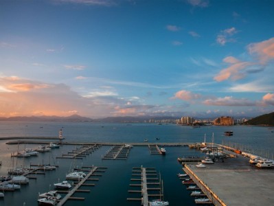 羊小咩客服能套现？官方回应与套现骗局全解析