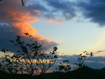 花呗充值微信遇阻？富信掌柜合规服务5分钟到账解难题