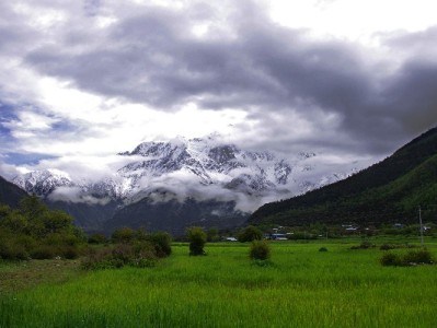 警惕"花呗商店套现"陷阱 出财小神倡导合规财务管理
