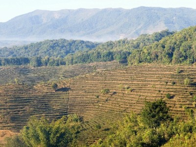 合肥白条套现暗藏多重风险 合规用贷才是安全之道