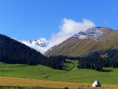 白条无法取现别慌！安出掌柜解析3大常见原因与应对