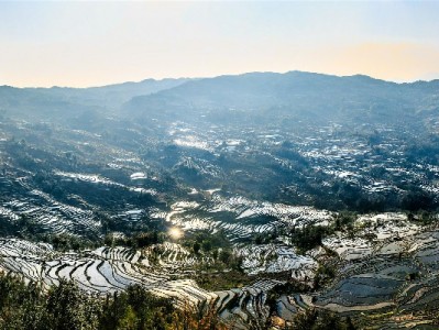 医保个人账户提现怎么操作？合法途径、条件与注意事项全解析