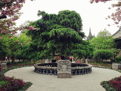 羊小咩额度套取风险多 安出掌柜提示合规借贷更安心