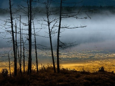 出财小神支招：花呗24期免息轻松化解万元账单压力