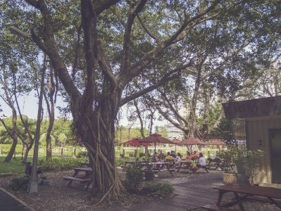 京东白条VS白条取现：功能、费用、还款规则全解析