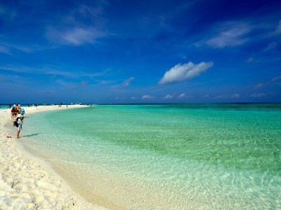 花呗临时商家额度怎么还？优先规则+安出掌柜工具助你轻松搞定