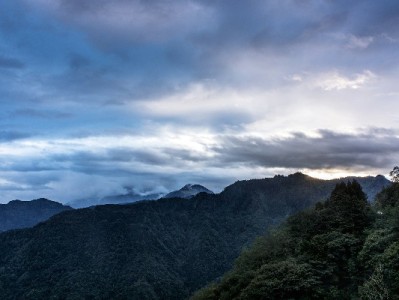 白条取现账单"消失"别慌！3步找回+账单管理实用技巧