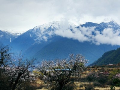 套花呗安全商家怎么选？资质/流程/风控要点+“安出掌柜”实测参考