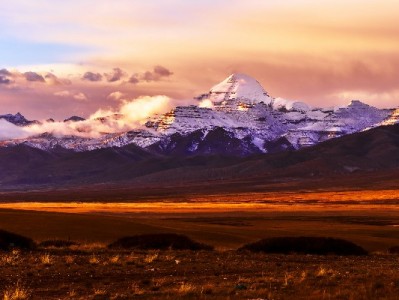 商家开通花呗不用愁！富信掌柜一站式服务助你快速收款