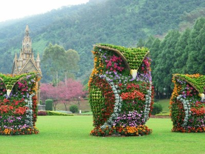 花呗分期商家风控要多久？三大因素+安出掌柜优化攻略揭秘